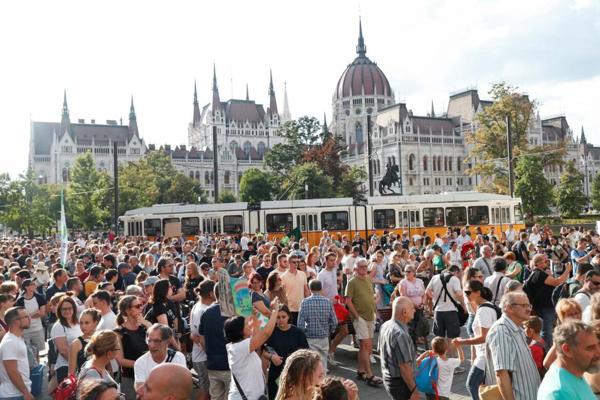 Mađari protestuju zbog labavijih pravila seče kako bi se uhvatili u koštac sa energetskom krizom