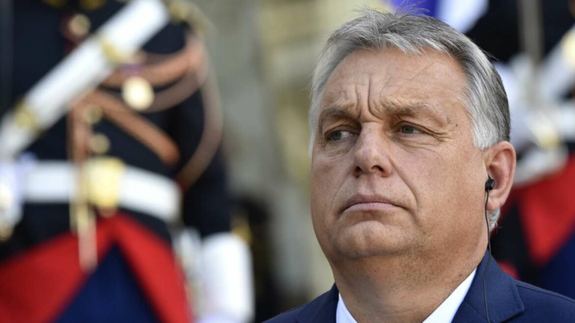 Orban: Mađari žele „više Čaka Norisa“