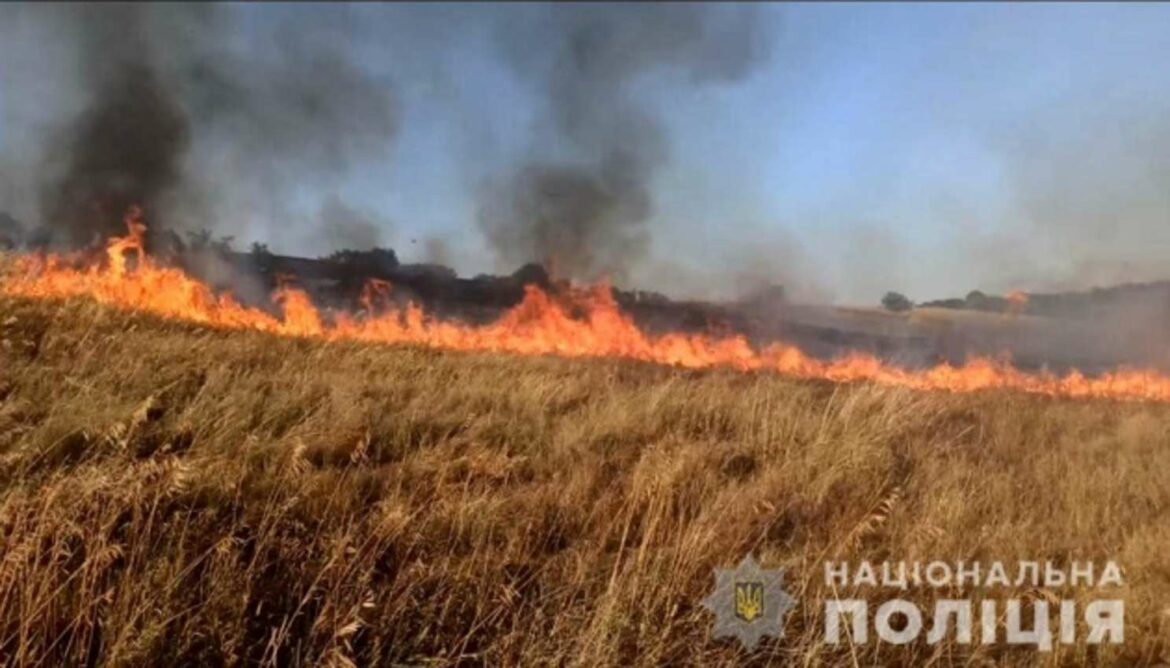 Plantaže pšenice uništene u požaru izazvanom ruskim granatiranjem Zaporoške oblasti