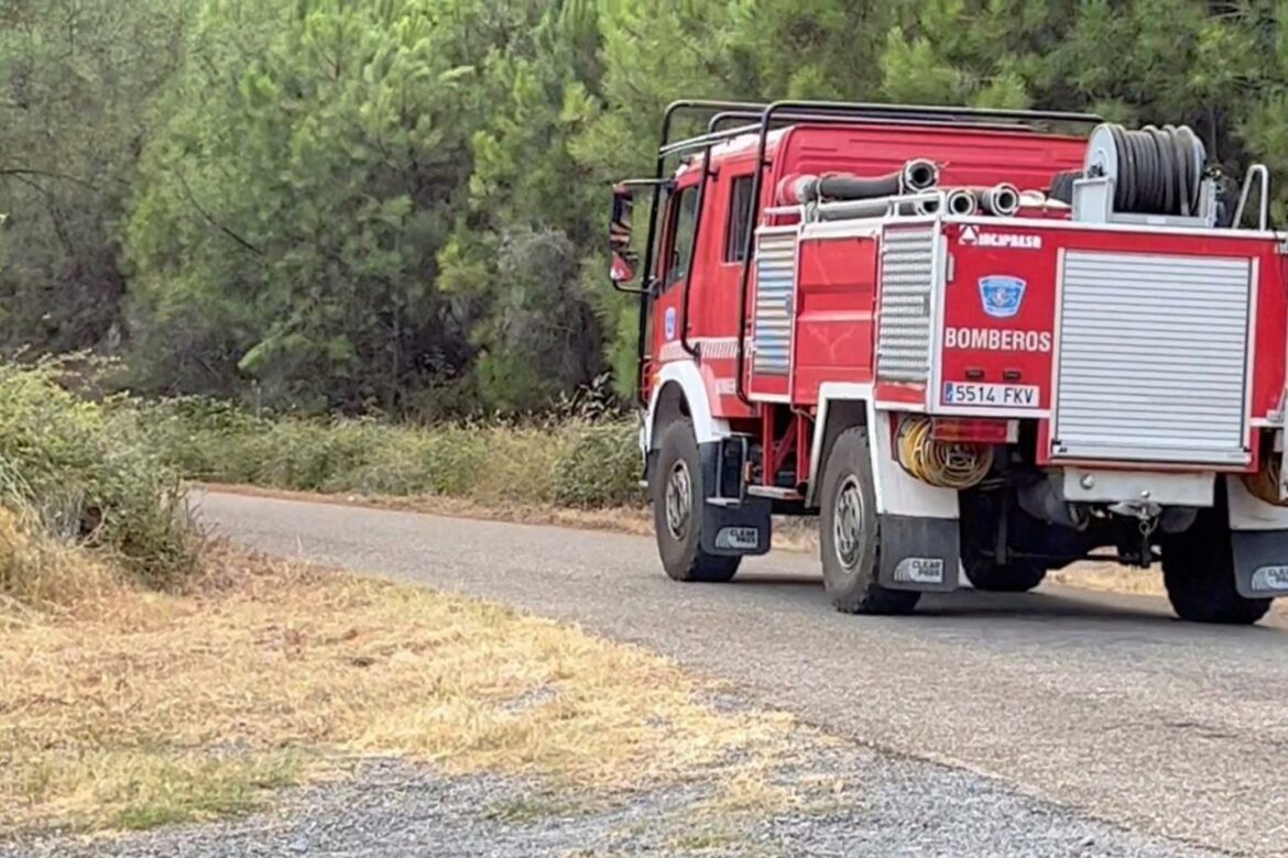 Veliki požar u Španiji primorao na evakuaciju 1.500 stanovnika