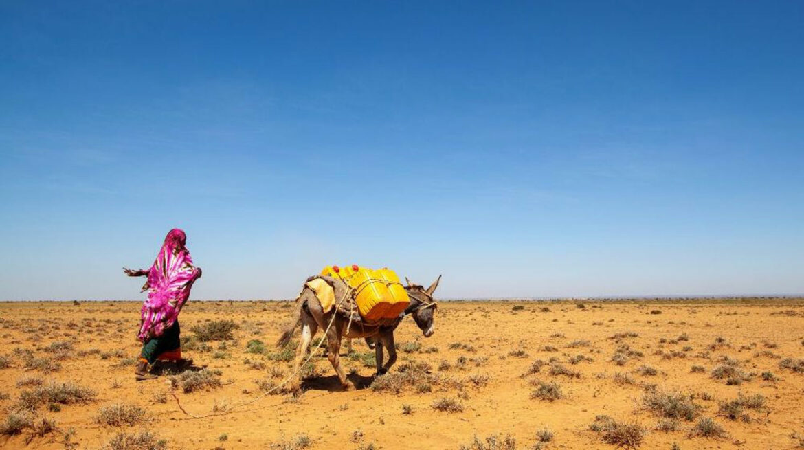 U Somaliji milion ljudi raseljeno zbog suše