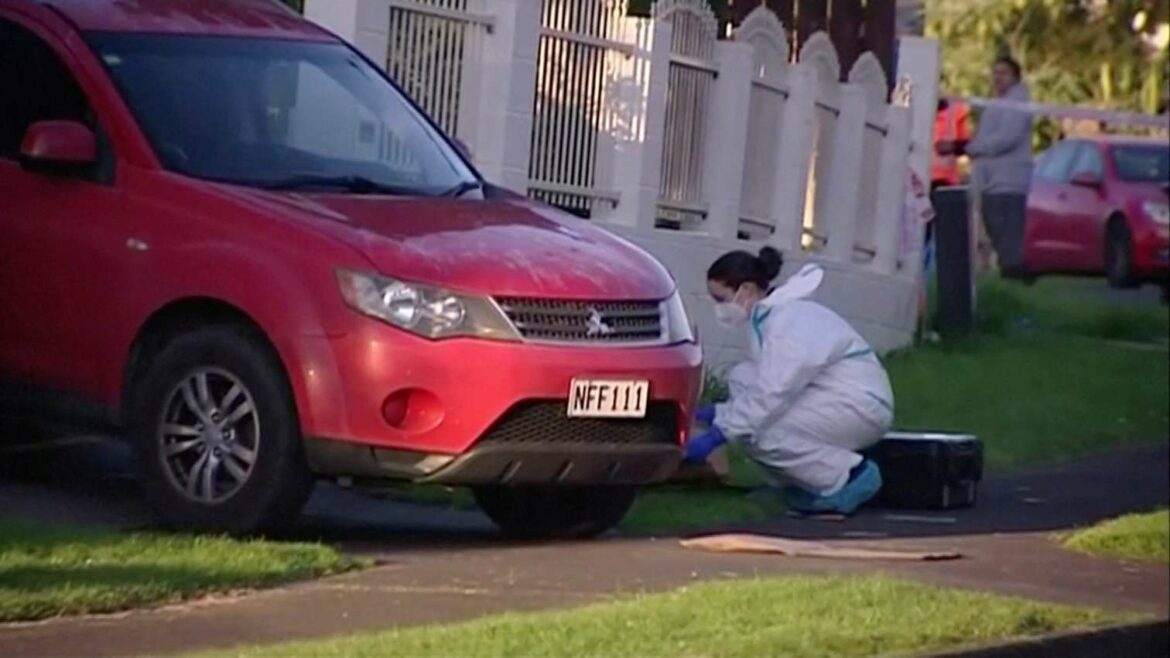 Tela dvoje dece pronađena u koferima na Novom Zelandu