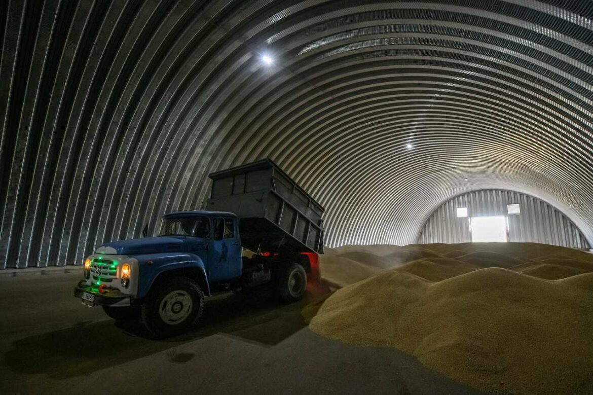 Ukrajina kaže da može da izveze 3 miliona tona žita iz luka sledećeg meseca