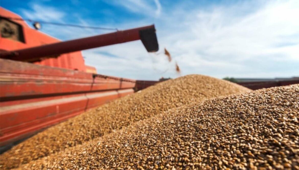 Ukrajina očekuje da će ove godine požnjeti do 67 miliona tona žitarica i uljarica