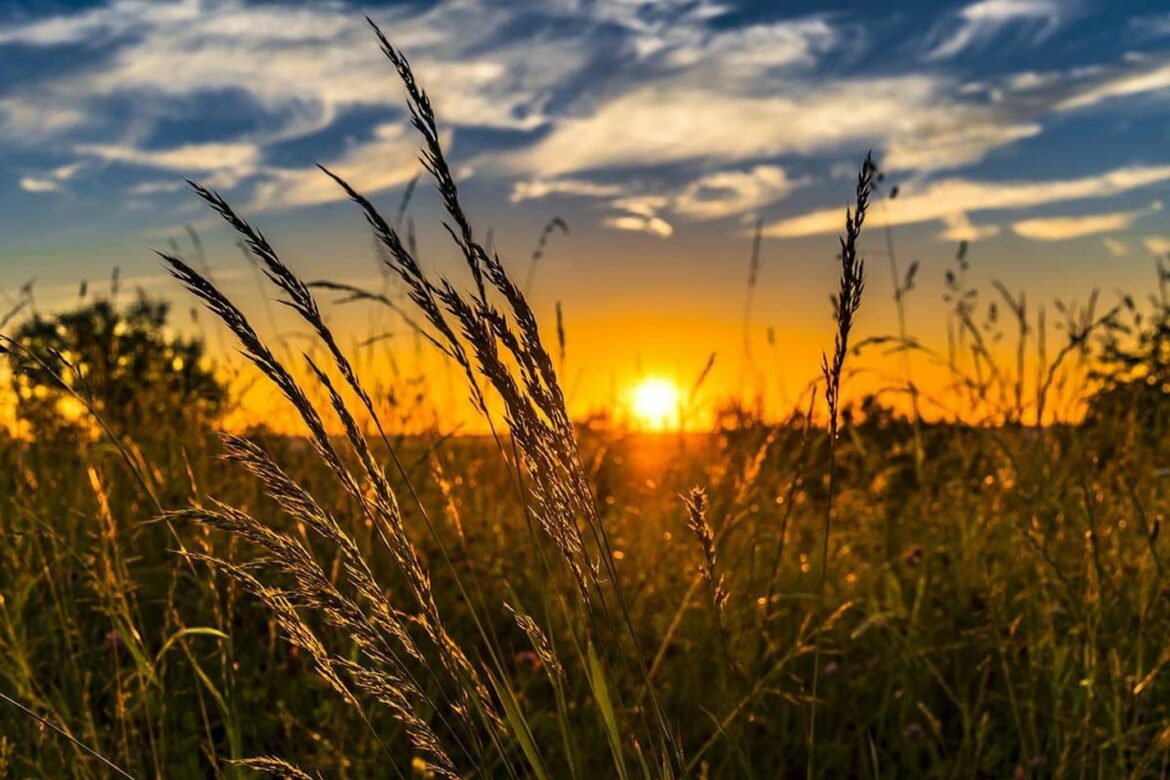 U Srbiji danas pretežno sunčano, temperatura do 31 stepen