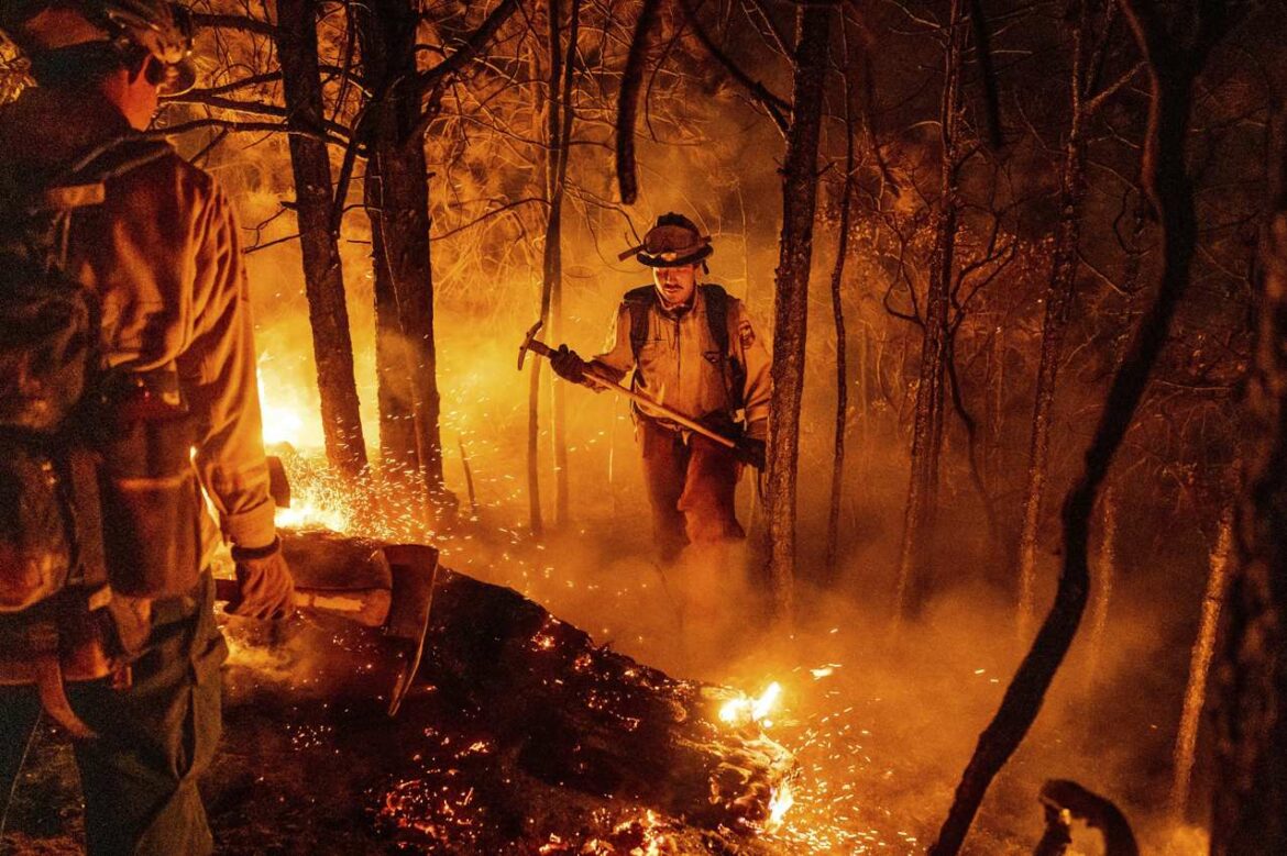 Kalifornija da zaštiti polise osiguranja u požarnim područjima
