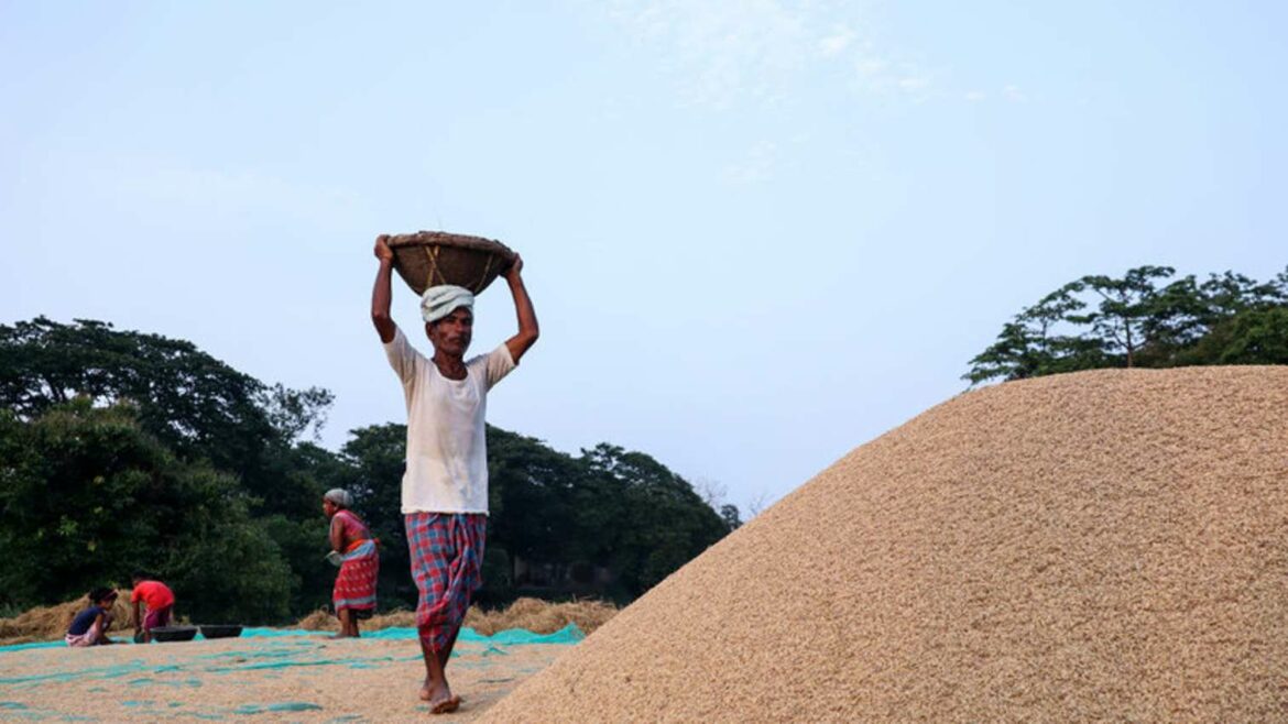 Indija ograničava isporuke pirinča