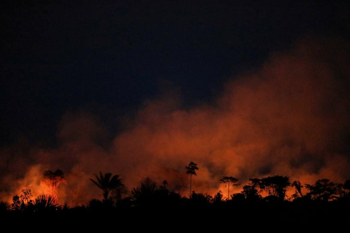 Više od 2.000 požara zahvatilo državu Roraima u amazonskoj prašumi tokom februara