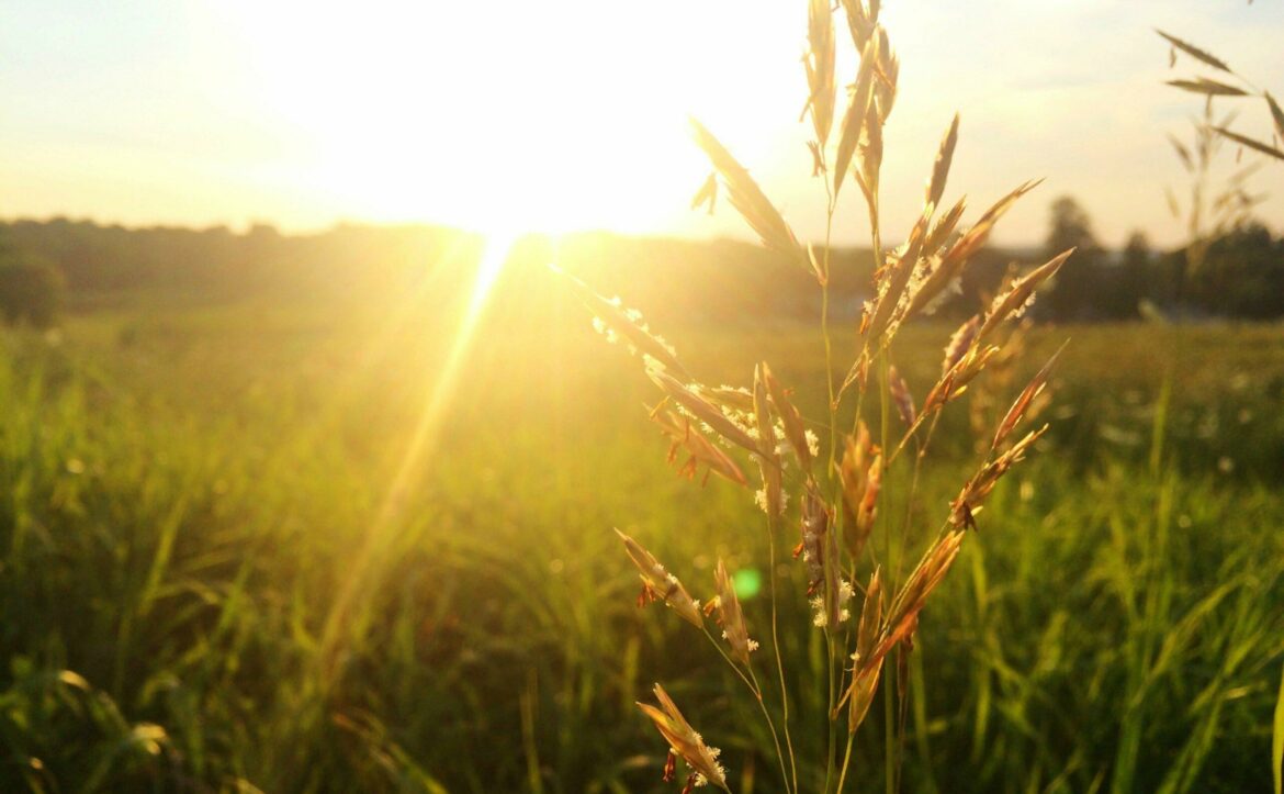 U Srbiji danas pretežno sunčano, temperatura do 28 stepeni