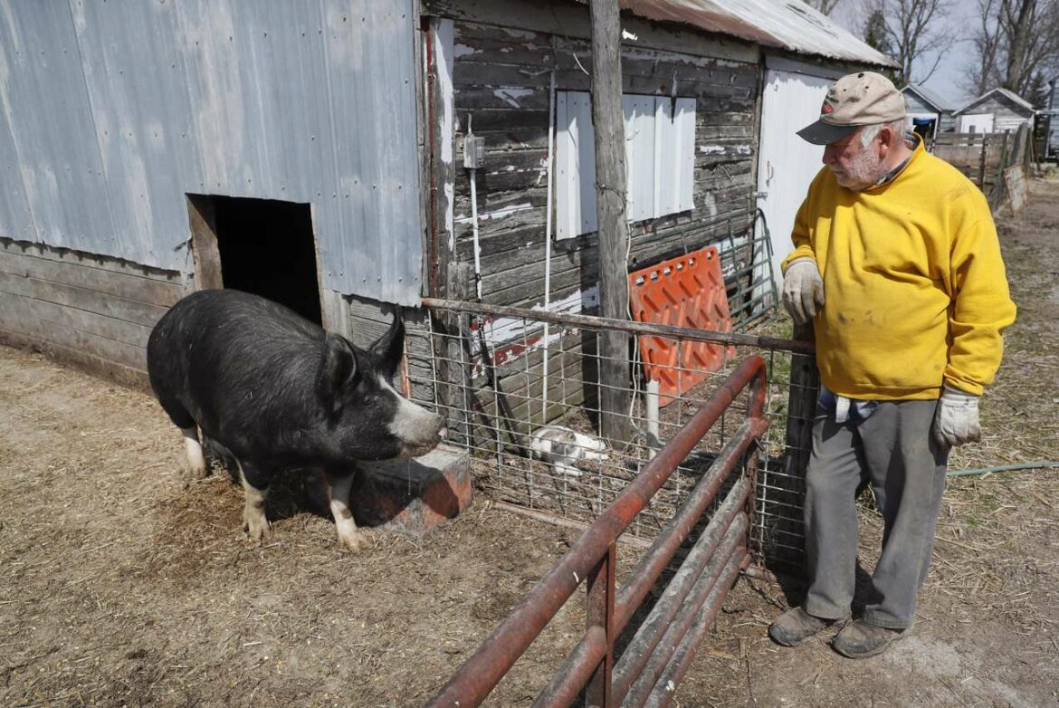 USDA najavljuje otpis duga od milijardu dolara za 36.000 farmera