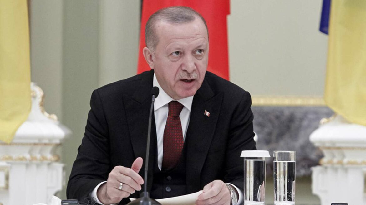 Erdogan optimista oko sporazuma o izvozu ukrajinskih žitarica posle razgovora s Putinom