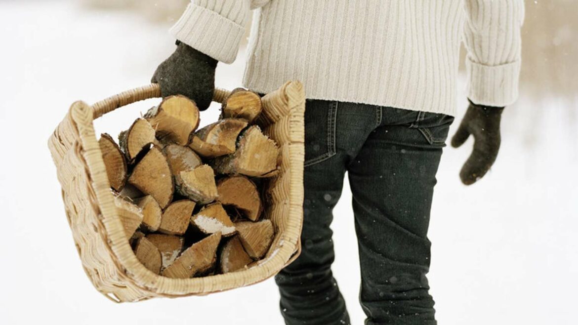 JP “Srbija šume“: Besplatna drva za najugroženija domaćinstva, prijava do 1. marta