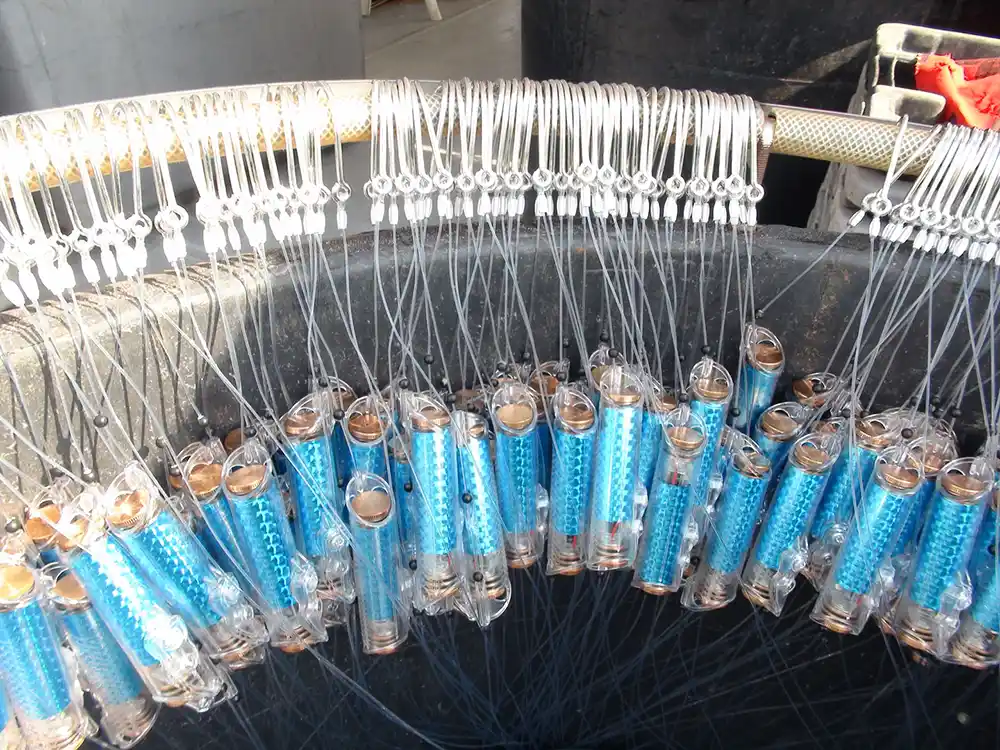 Ovi uređaji koriste električno polje da zaštite ajkule od udica za pecanje