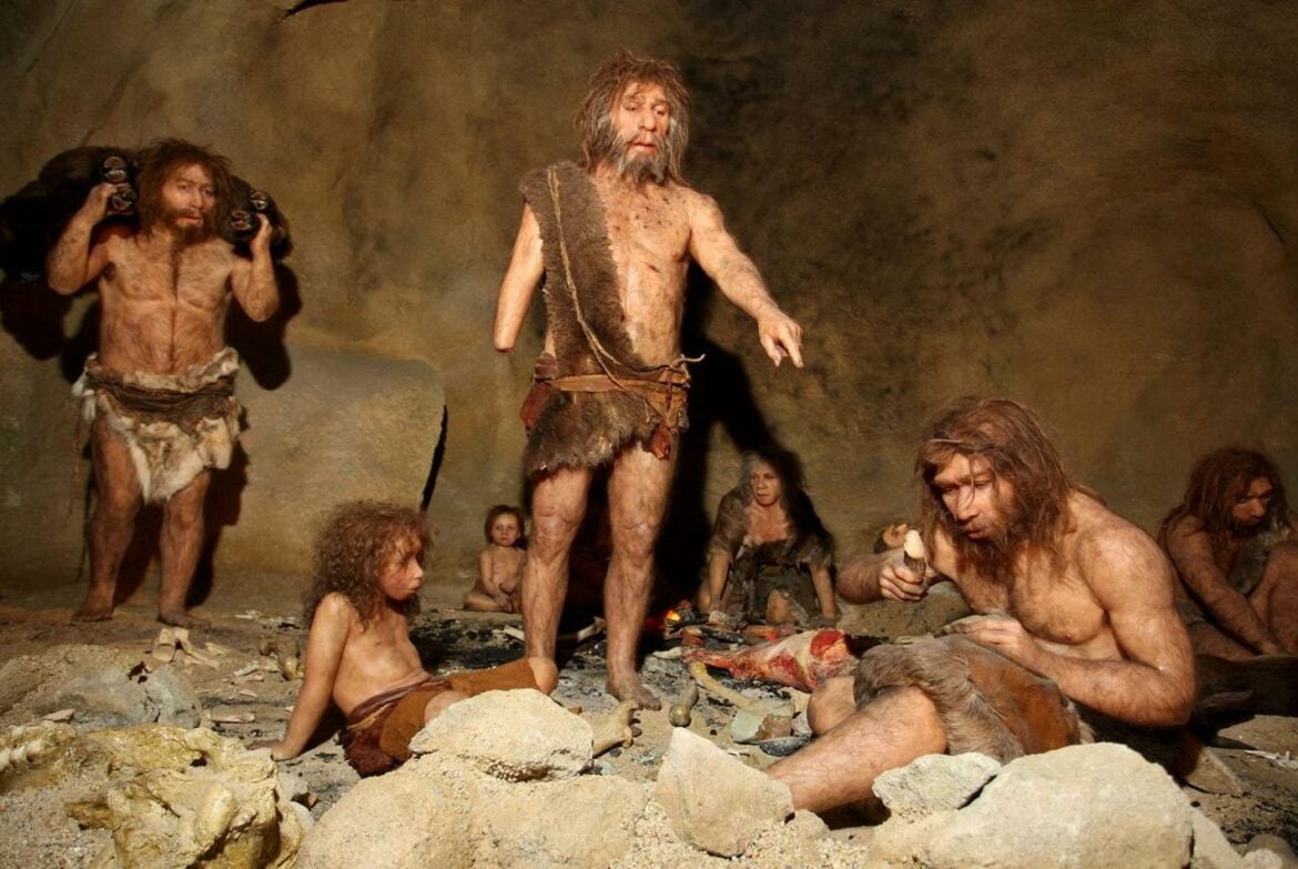 Studija: Neandertalci pre 70.000 godina koristili sofisticirane tehnike kuvanja