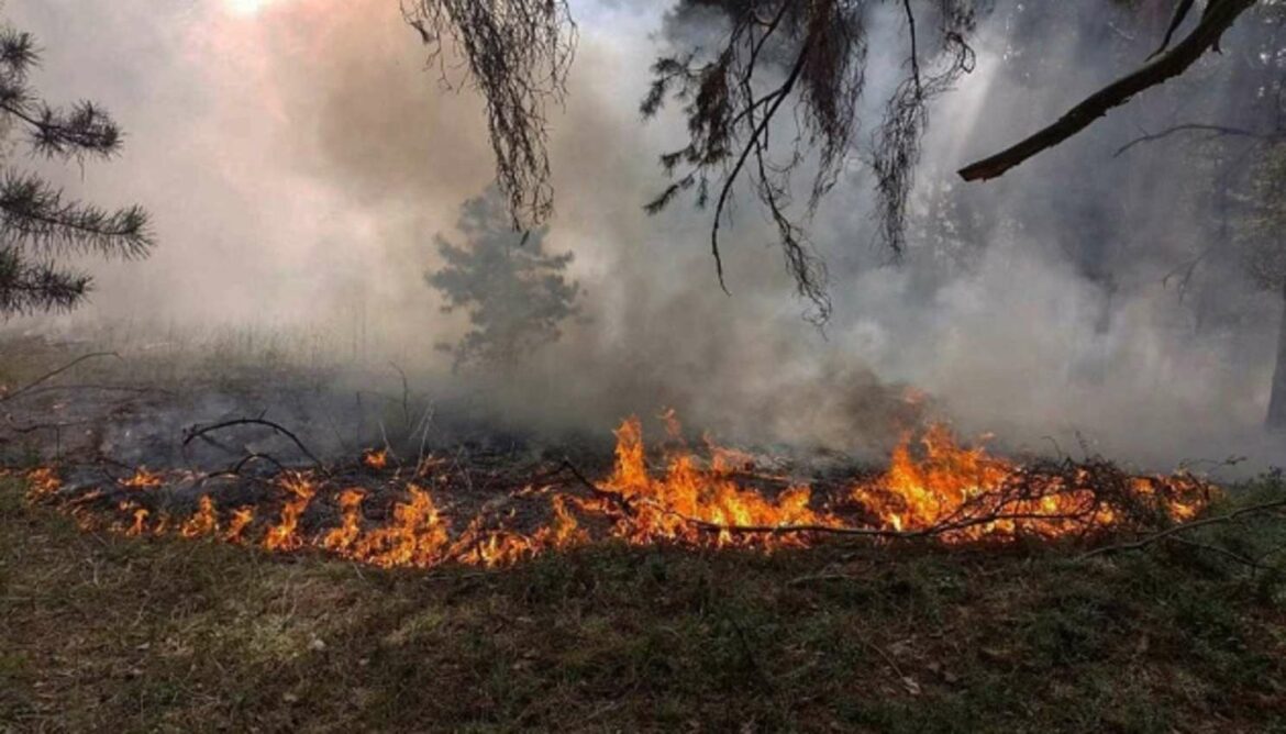 Rusija počinila 2.200 zločina protiv životne sredine