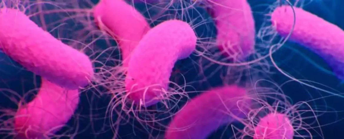 Naučnici otkrivaju potencijalni novi metod za lečenje superbakterijskih infekcija