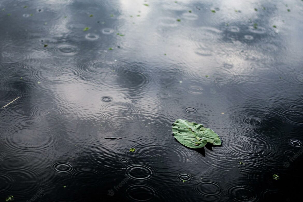 Vreme sutra oblano sa kišom, temperatura do 14 stepeni