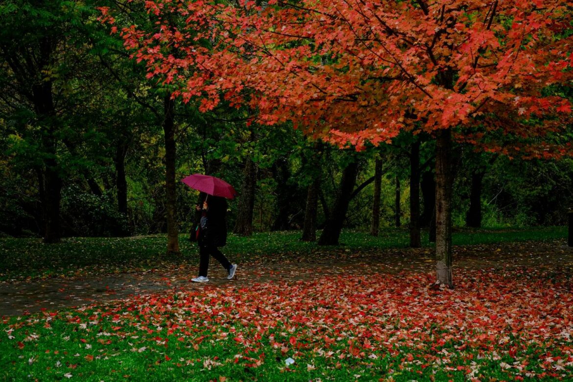 Vreme sutra oblačno sa sučanim intervalima, temperatura do 13 stepeni