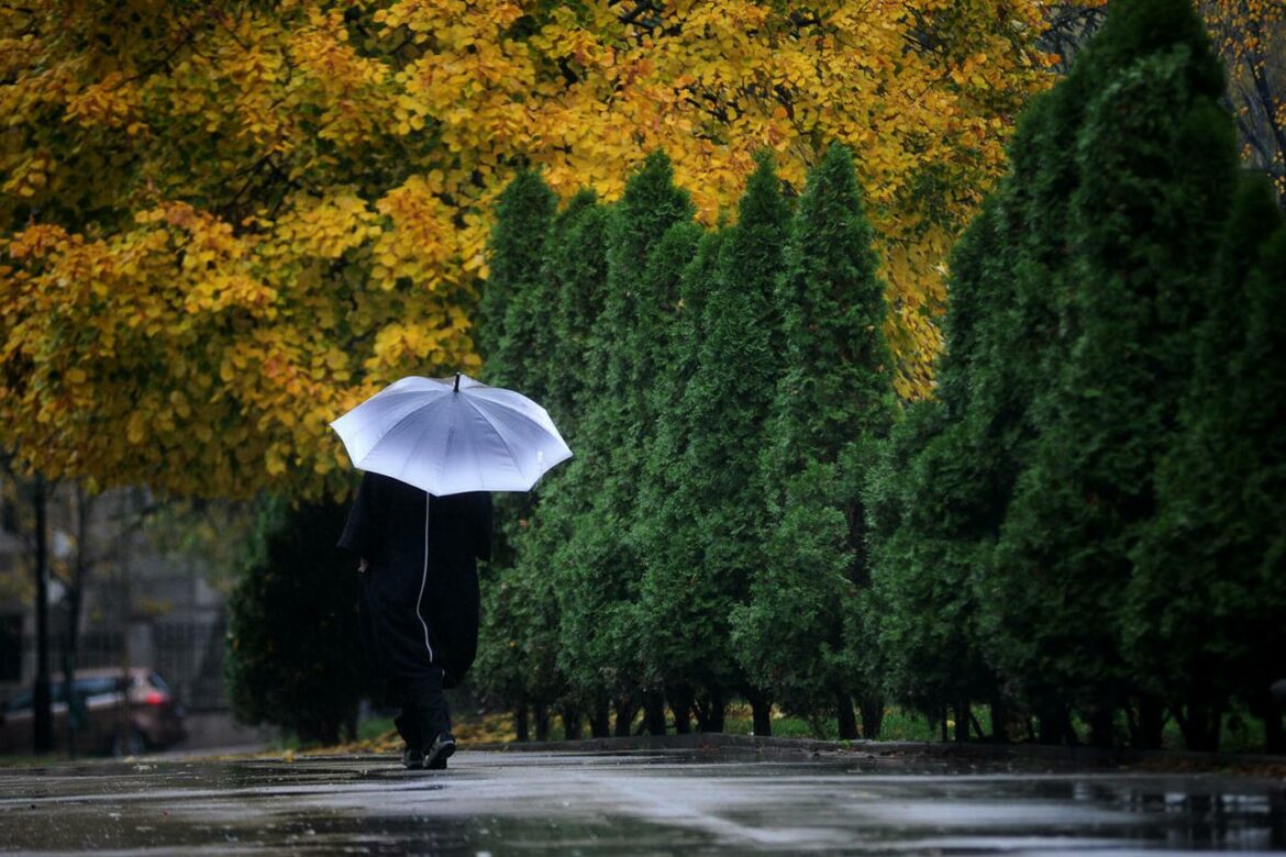 Do kraja dana oblačno i suvo, uveče kiša – temperatura do 10 stepeni