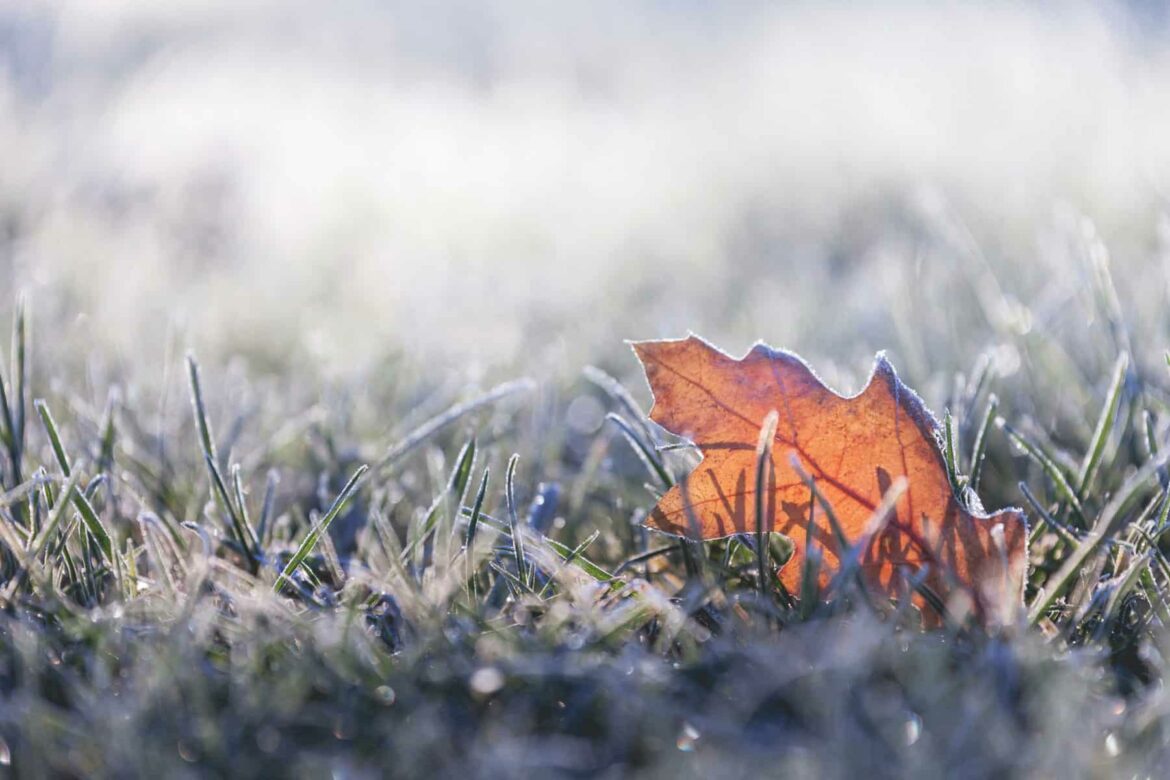 Danas oblačno sa kišom, na planinama sneg – temperatura do 8 stepeni