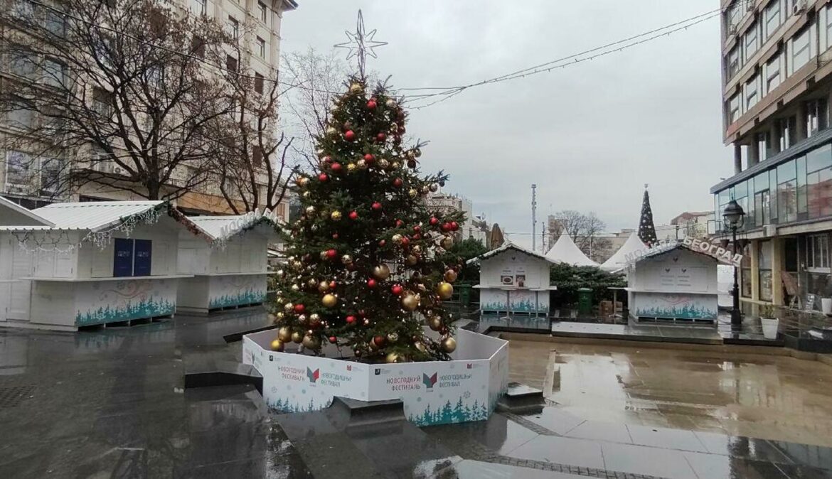 U centru Beograda postavljena novogodišnja jelka, poklon Srbiji iz Rusije