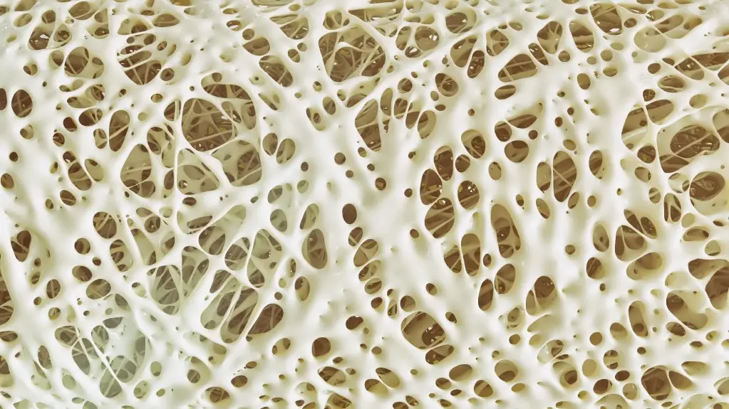 Nano tehnologija za borbu protiv osteoporoze