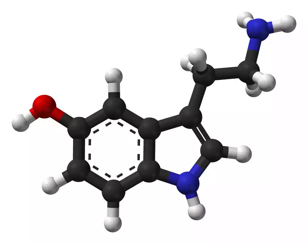 Nova studija o uticaju serotonina kod depresije