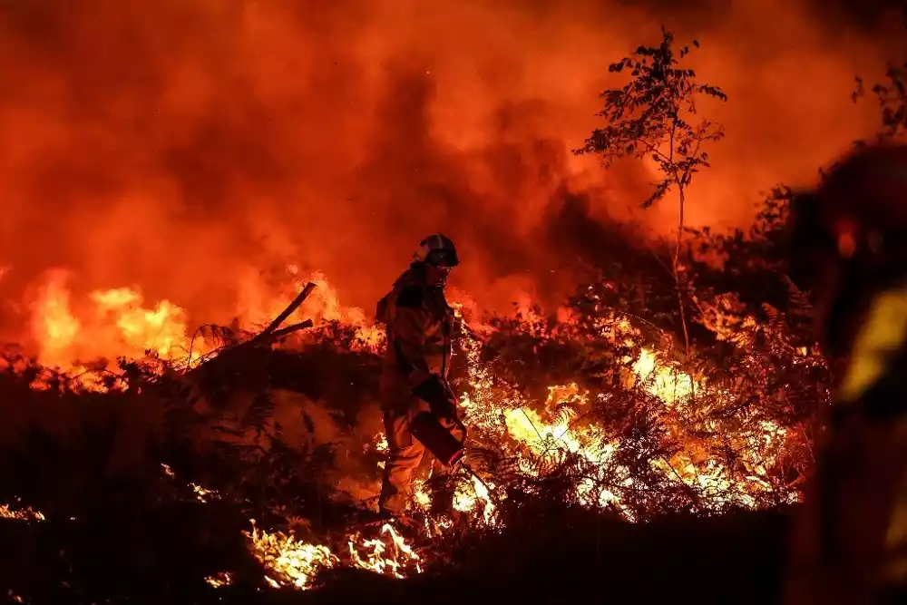 Globalno zagrevanje može izazvati više šumskih požara