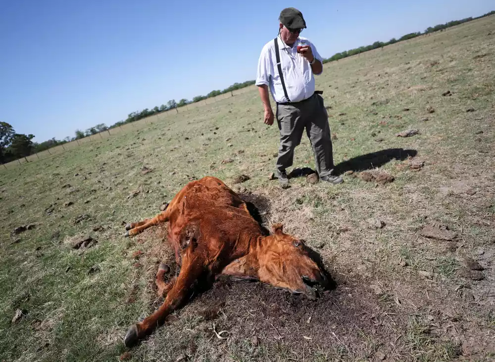 Najgora suša u Argentini u poslednjih nekoliko decenija