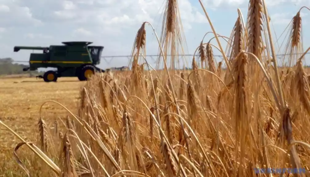 Ukrajinski farmeri požanju 41,9 miliona tona žitarica