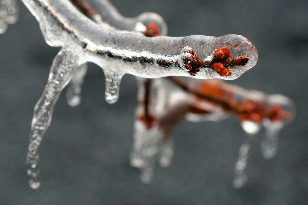 Sutra oblačno sa snegom i kišom, temperatura do 9 stepeni