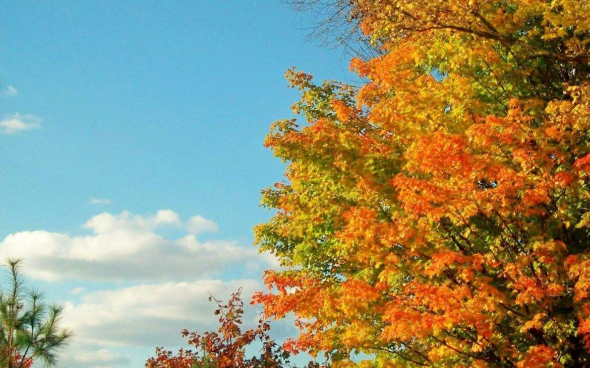 Sutra sunčano i hladno, temperatura do 6 stepeni