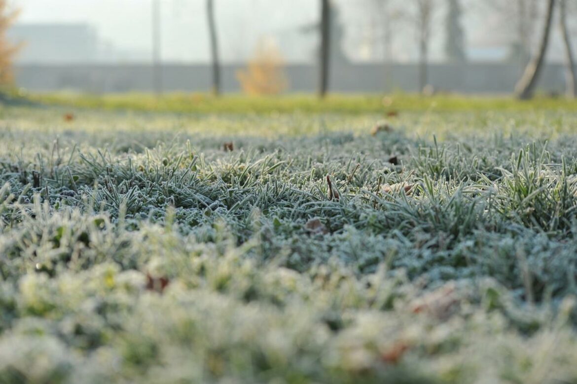 Danas oblačno sa mrazom i kišom, temperatura do 7 stepeni