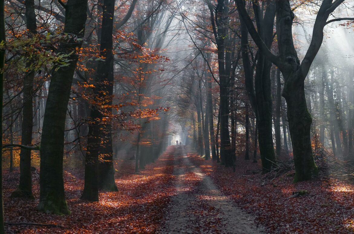 Danas pretežno sunčano i hladno, temperatura do 8 stepeni