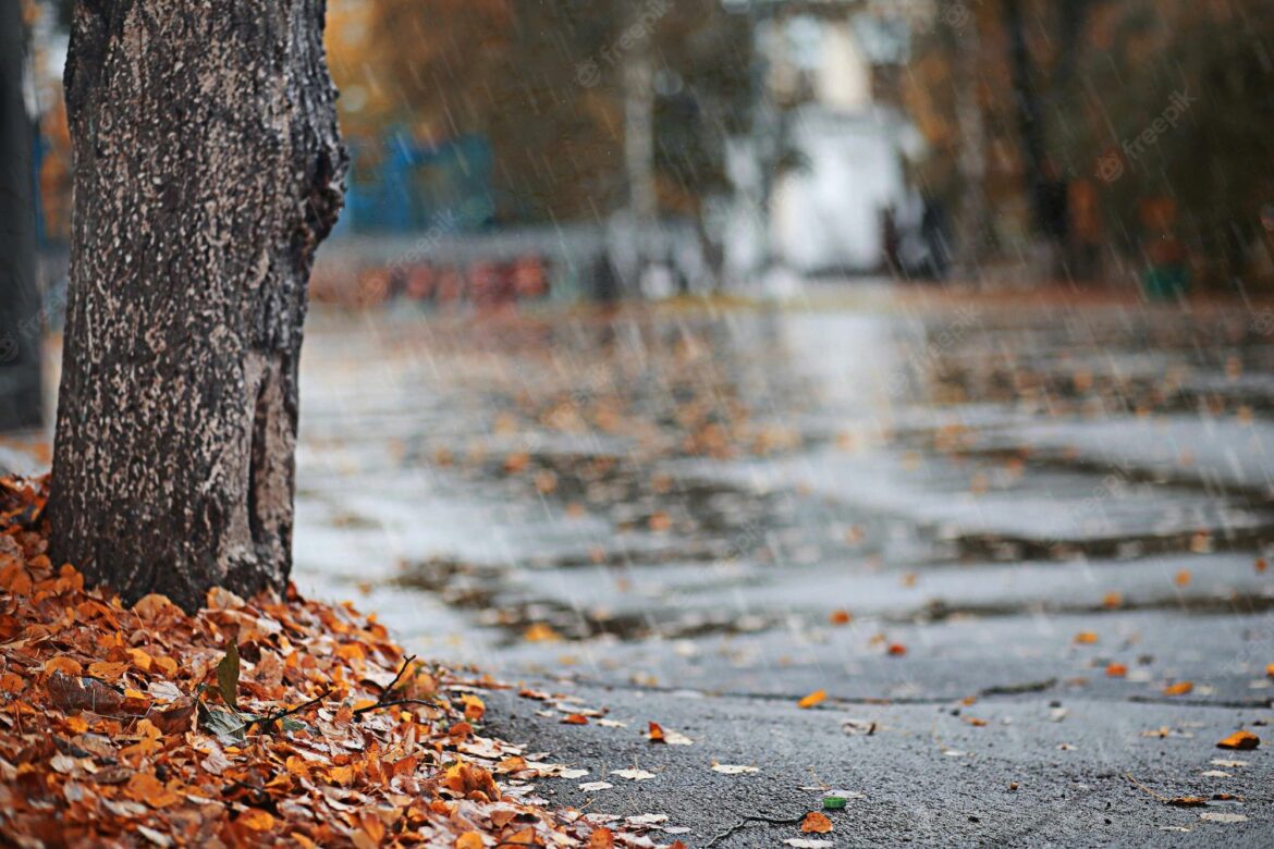 Ujutru mraz, tokom dana prolazni naoblačenje i kiša – temperatura do 11 stepeni