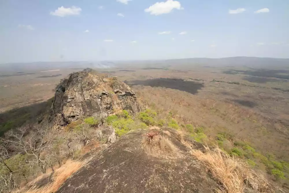 Afrika: Biodiverzitet toliki da je trenutnim tempom potrebno 150 godina za mapiranje