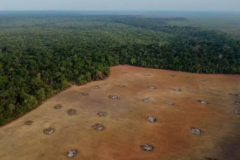 Brazil počinje prve operacije za zaštitu Amazona