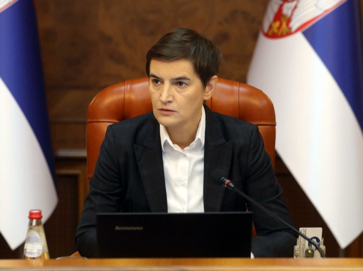 Brnabić: EPS se nikad neće privatizovati