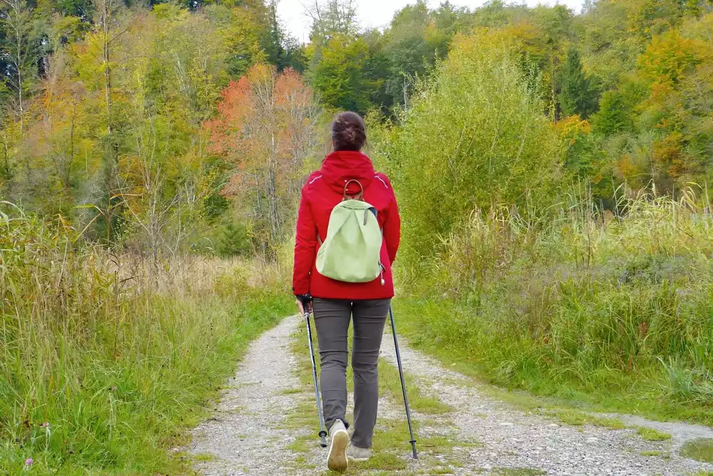 Veza između menopauze i rizika od kardiovaskularnih bolesti