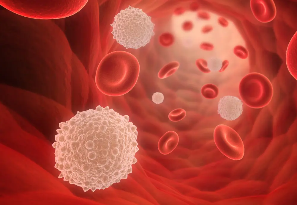 Bela krvna zrnca pupčane vrpce razvijena su za unapređenje lečenja raka