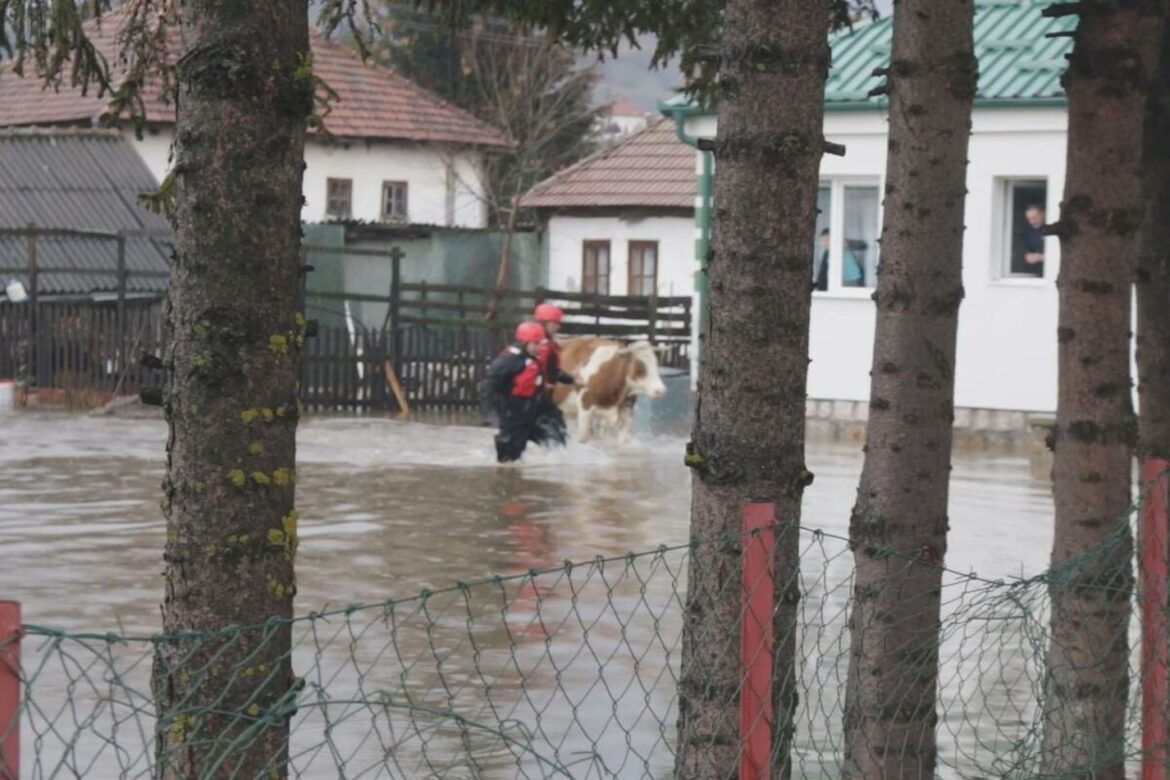 Na Limu napravljen još jedan nasip da zaštiti Brodarevo, danas vrh poplavnog talasa