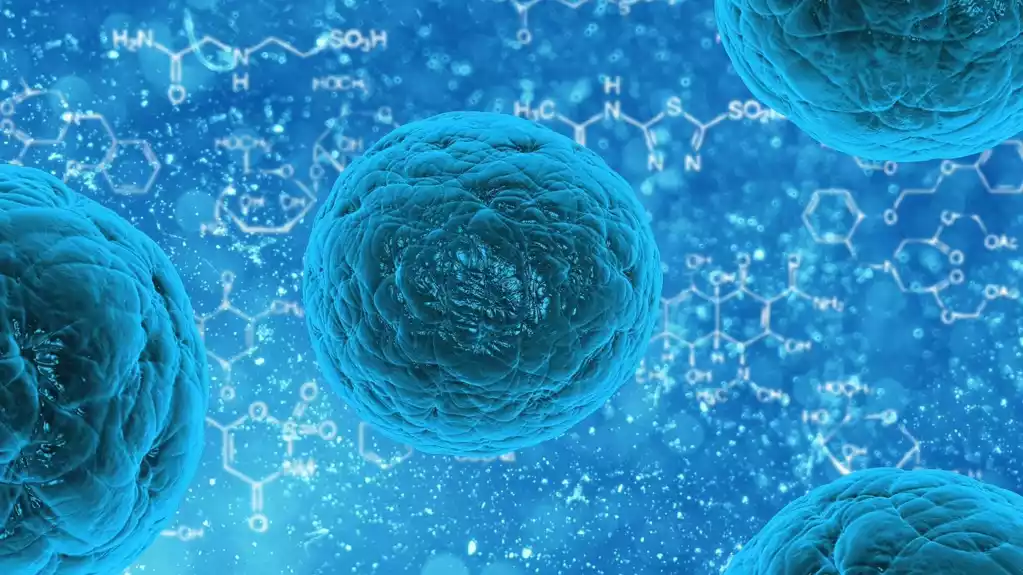 Kako biološki put dovodi matične ćelije do umiranja ili regeneracije