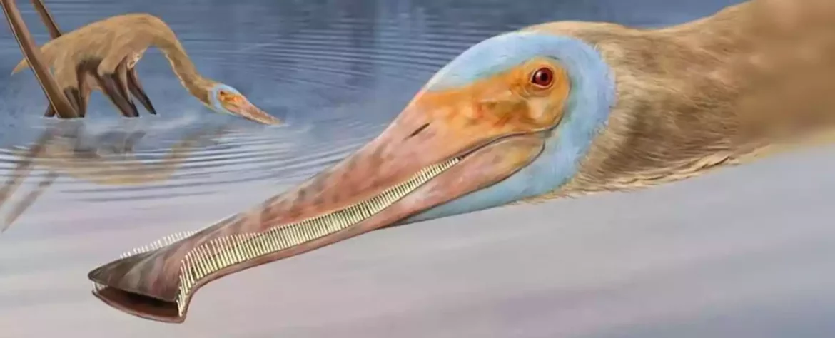 Novootkriveni fosil otkriva stotine zuba „nikada viđenih kod pterosaura“