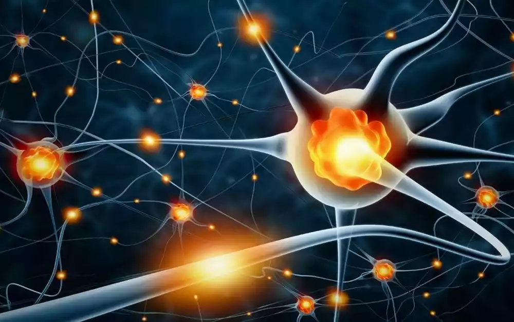 Predviđanje demencije korišćenjem karakteristika neuronske mreže