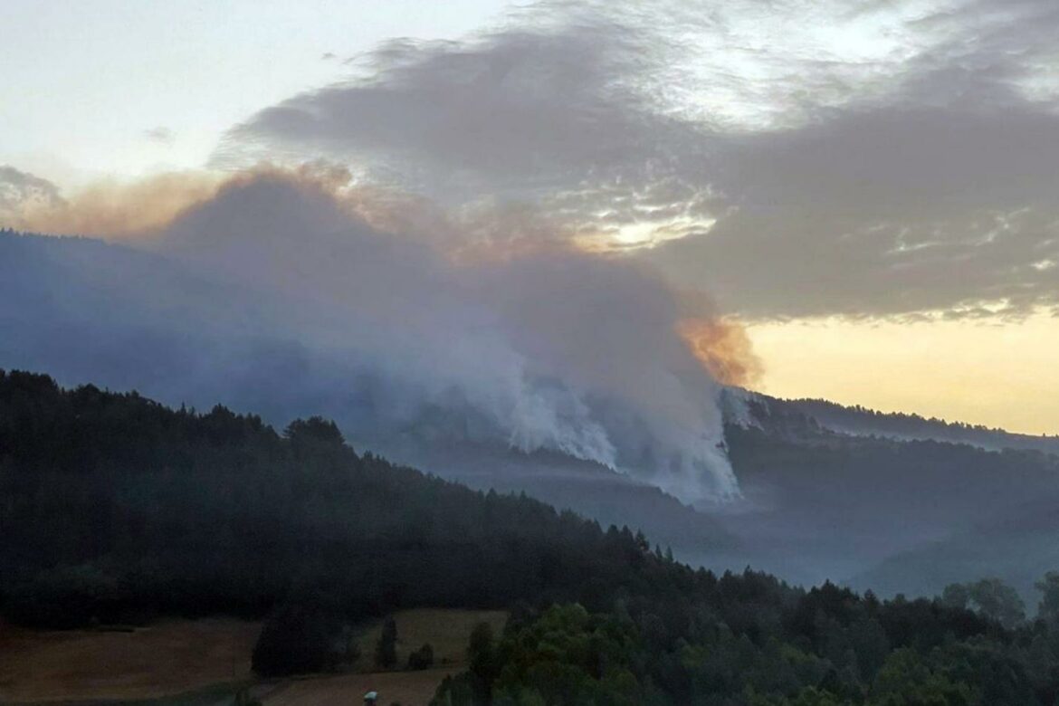 Požar na Šar planini, gori šest hektara šume i pašnjaka