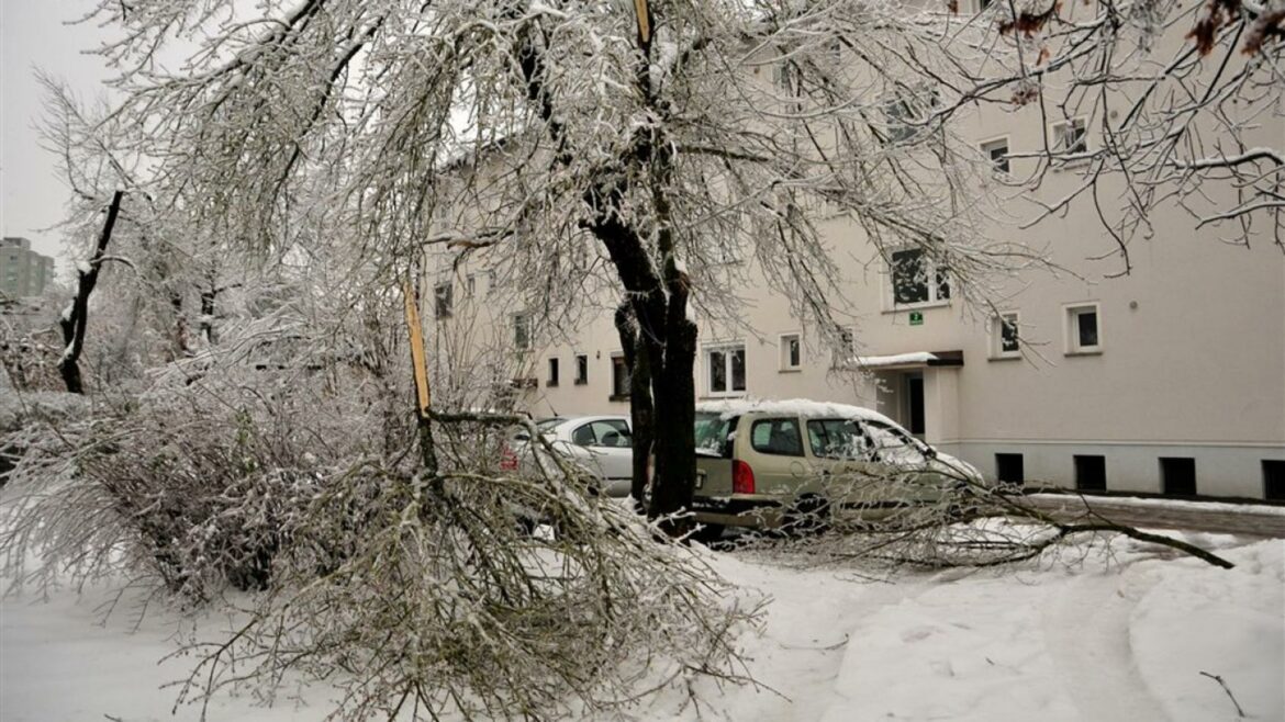 Slovenija: Hiljade ljudi bez struje zbog snega i vetra, zatvoren auto-put