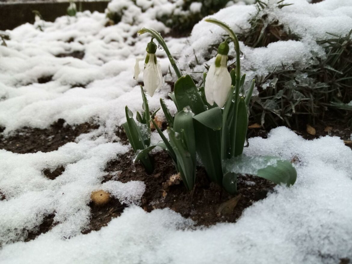 Danas oblačno sa kišom i snegom, temperatura do 7 stepeni