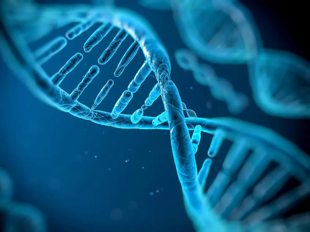 Otkriveni ključni geni povezani sa oštećenjem DNK i ljudskim bolestima