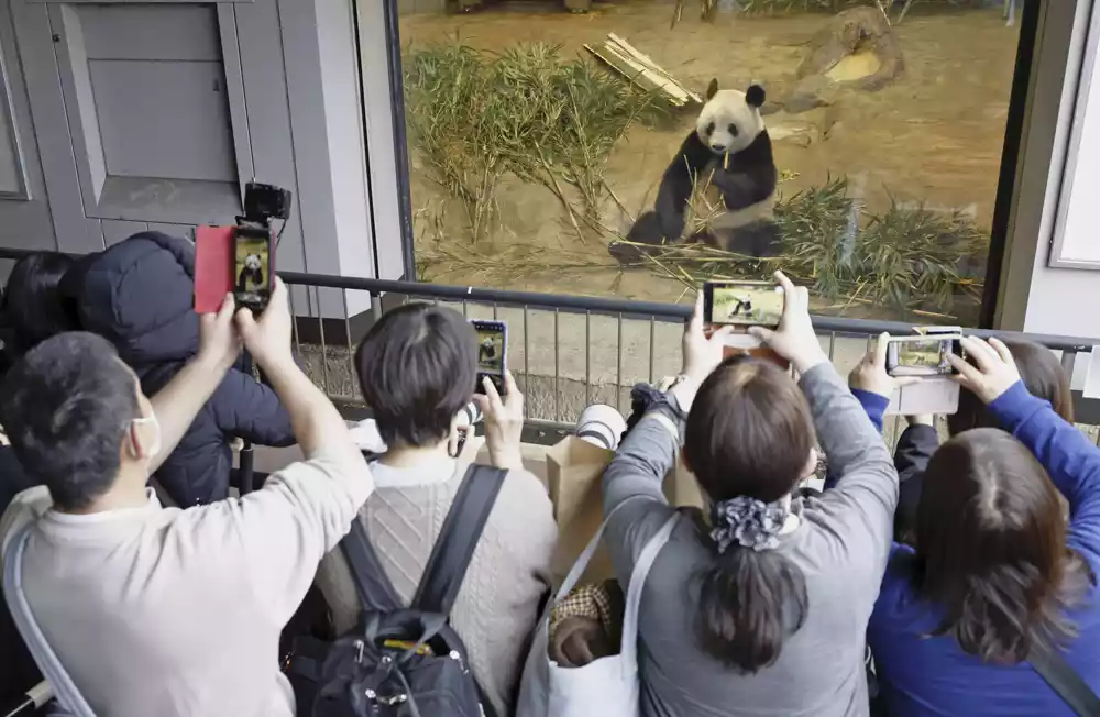 Japanci su se oprostili od voljene pande koja se vraća u Kinu