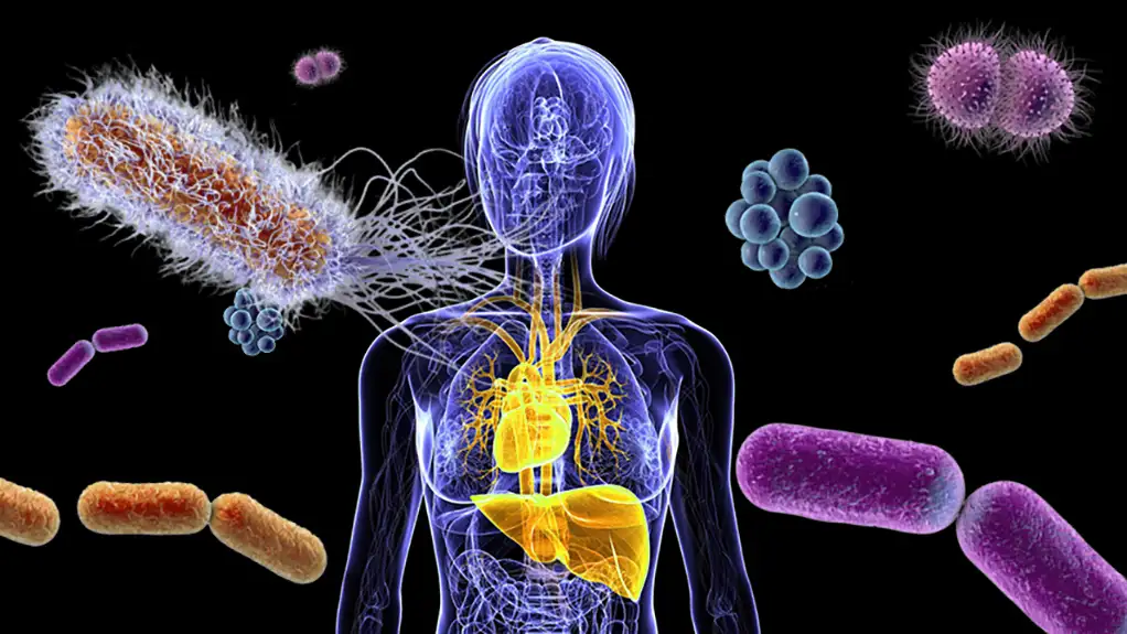Mikrobiom creva i antibiotici: otkriven deo slagalice koji nedostaje